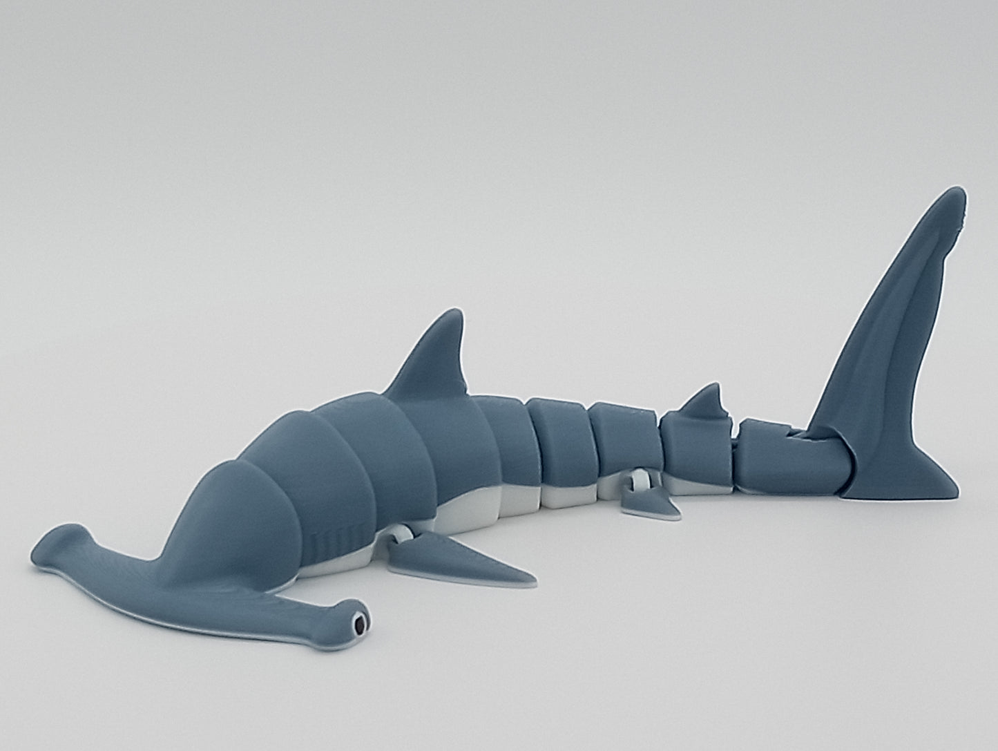 Flexi Hammerhead Shark + Ship Display Stand