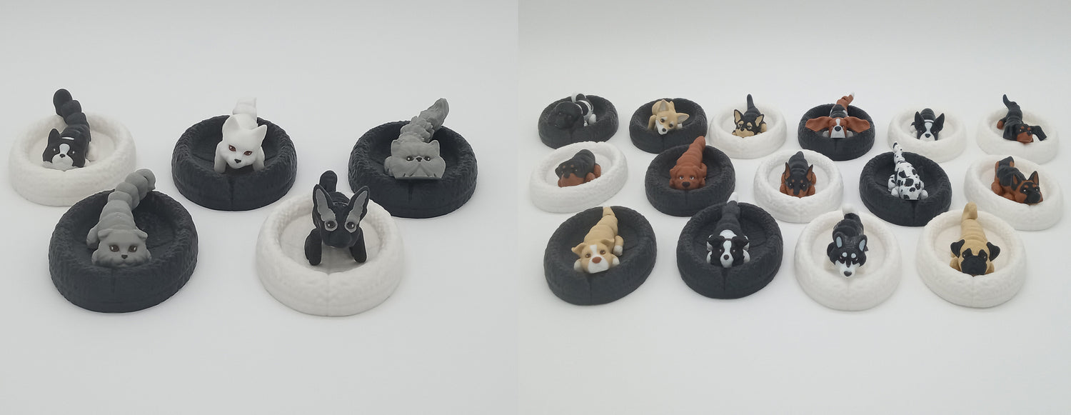 Cats and Dogs
